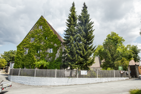 Original Steinwälder Kräuterlikör 30 vol.% 0,05 l - Karton mit 20 Flaschen