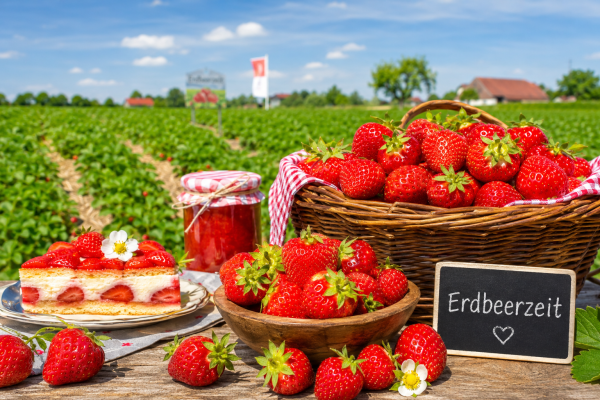 erdbeerzeit-deutschland-sommer-genuss-jpg