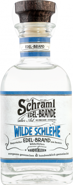 Wilde Schlehe 42 % 0,1 L