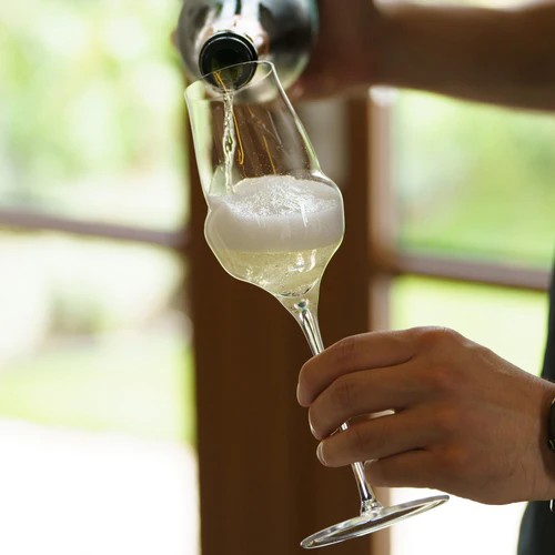 Champagnerglas Cocoon 6er Set 340 ml – Prestige