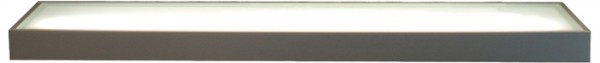 Wandboard LED Glasbodenleuchte Leuchtregal Regal Wandleuchte Küche 600 mm, Edelstahl